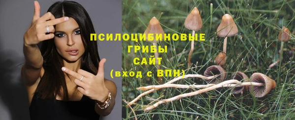 стафф Абаза