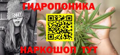 дурь Кимры